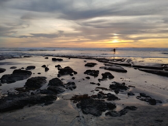 Building Photo - 1845 N Vulcan Ave