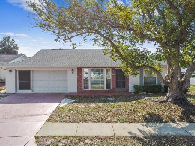 Building Photo - 11611 Bear Paw Ln