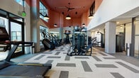Located at 4015 Craft St in Charlotte, NC, this contemporary fitness center is designed to deliver a premium workout experience across a single, well-appointed floor. The main workout area immediately impresses with its dramatic double-height ceilings finished in a bold terracotta-red accent, complemented by large windows that flood the space with abundant natural light and views of the surrounding exterior. Stylish black pendant lights and ceiling fans hang overhead, lending an industrial-modern aesthetic throughout.

The patterned, geometric carpet tile flooring defines the expansive main floor, which is fully equipped with a wide range of strength-training machines, cable systems, free weights, and functional fitness equipment. Full-length mirrors line portions of the walls, enhancing the sense of openness and supporting form-focused training. Flat-screen TVs are integrated into the equipment areas for entertainment during workouts.

A dedicated cardio alcove features multiple treadmills positioned beside large windows with courtyard views, creating an airy and motivating environment. Dark cabinetry and built-in storage provide organized accessory space within the room.

The entry area welcomes visitors with clean white walls, curated large-format photographic artwork, and patterned flooring that carries through from the main floor. Glass-paneled entry doors with dark metal framing create a polished, transparent facade, offering a welcoming first impression to this well-equipped fitness facility.