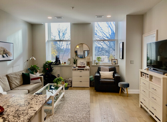 living area - 77 Van Dam St