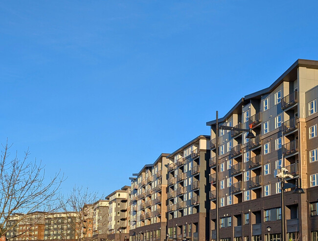 Foto del edificio - Solera Apartments