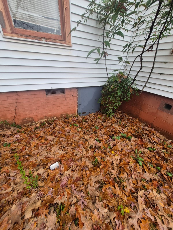 Foto del edificio - 5107 W 22nd St