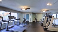 This fitness center offers a comprehensive workout environment designed to accommodate a variety of exercise routines. The space is outfitted with an array of cardio equipment, including treadmills, stationary bikes, and ellipticals, positioned to take advantage of natural light streaming in through large windows along one wall. Strength training is well represented with a multi-station cable machine and additional resistance equipment situated toward the rear of the room. The dark rubberized flooring provides both durability and safety underfoot, while large mirrors along the walls visually expand the space and allow users to monitor their form during workouts. Two ceiling fans with integrated lighting fixtures are mounted to the textured ceiling, helping to maintain airflow and comfort throughout exercise sessions. Recessed lighting supplements the natural light, ensuring the room remains well-lit at all times. A set of glass-paneled doors at the back of the room leads to an adjoining area, adding to the overall functionality of the facility. The neutral wall tones and practical layout create a focused, distraction-free environment suited for both casual and dedicated fitness routines.