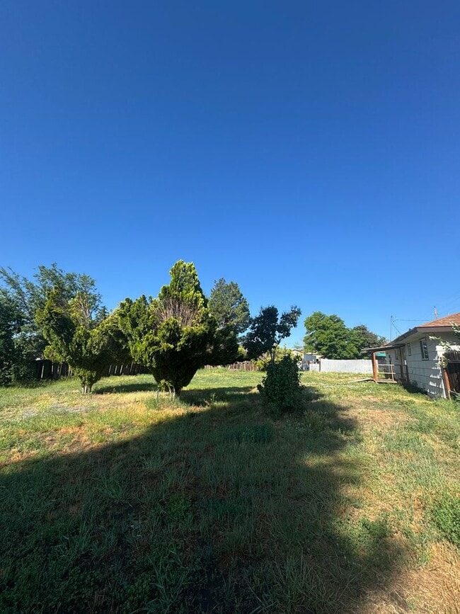 Building Photo - 3 bed 1 bath with large back yard - sewer ...