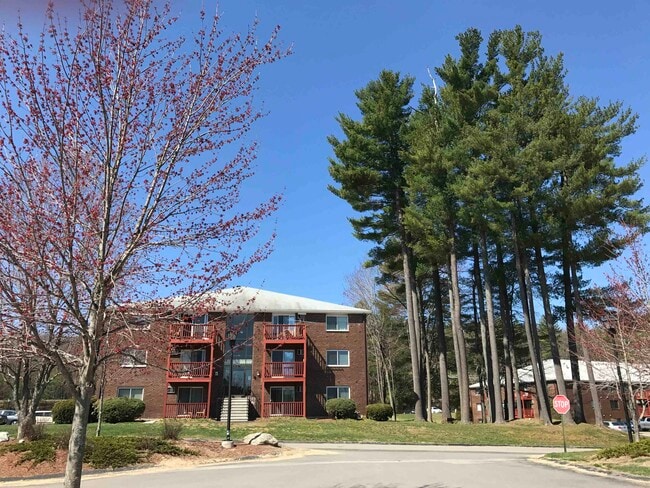 Building Photo - 95 Powers St