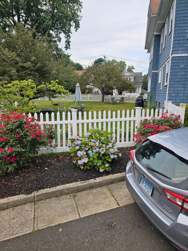 Fenced in Side Yard - 675 Courtland Ave