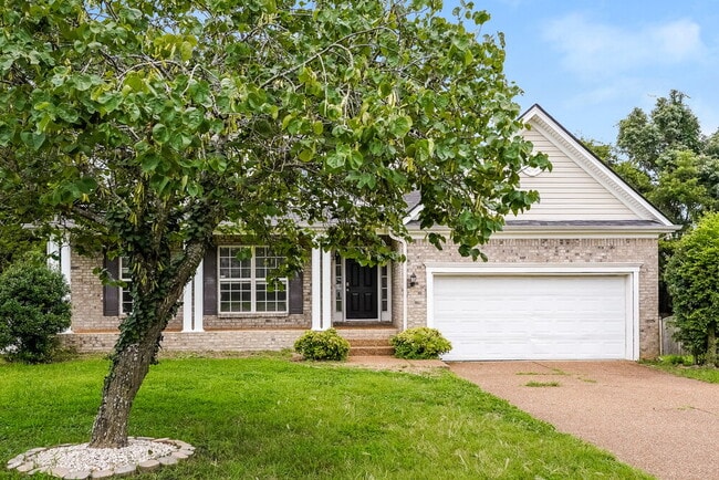 Building Photo - 209 Briarcotes Cir