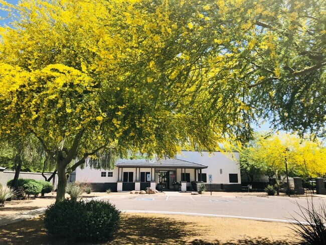 Agave Court Apartments Phoenix Az Apartments Com Agave Court Apartments Phoenix Az Apartments Com