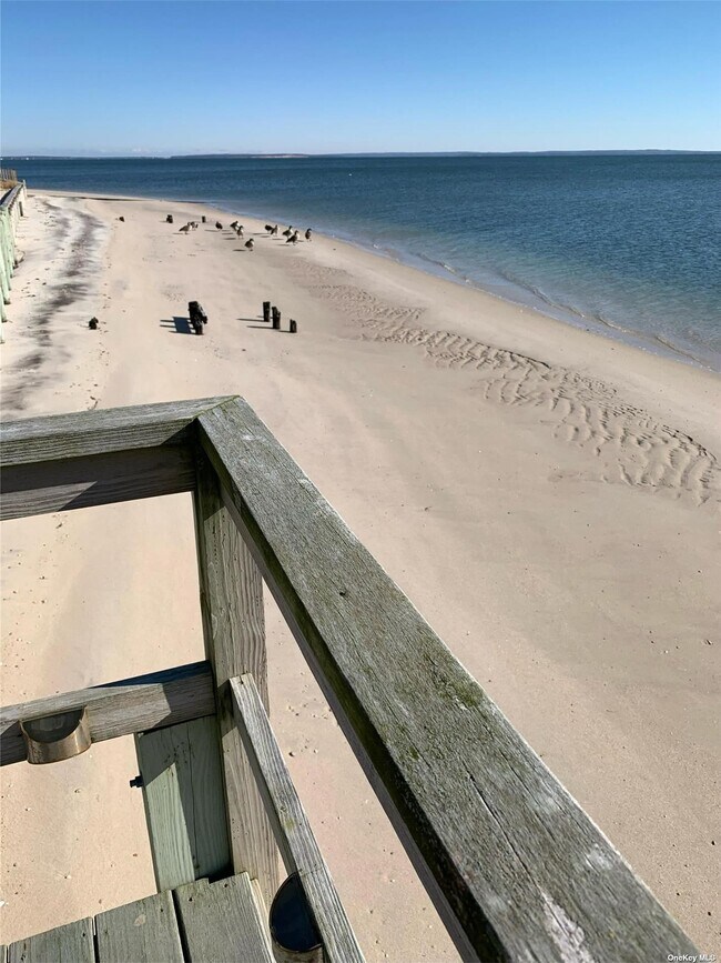 Foto del edificio - 31 Dunlookin Ln