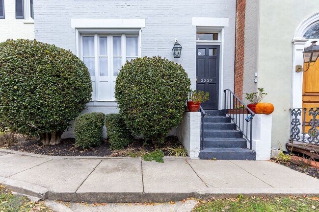 Building Photo - Terrific Two Bedroom Gem in Georgetown! Pa...