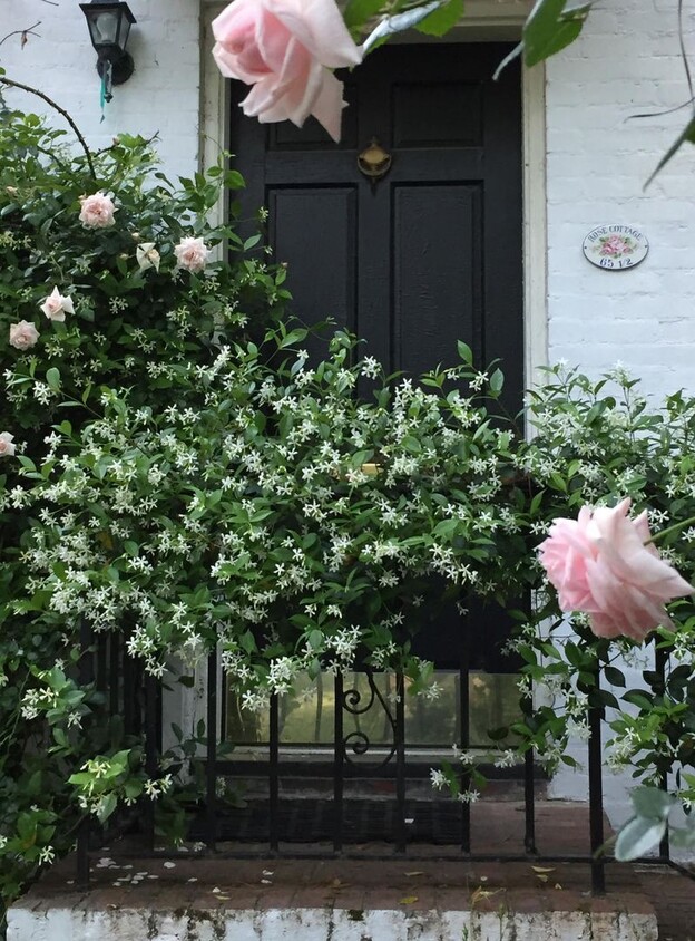 Primary Photo - 1 br, 1 bath House - 65 1/2 Lenwood Blvd.