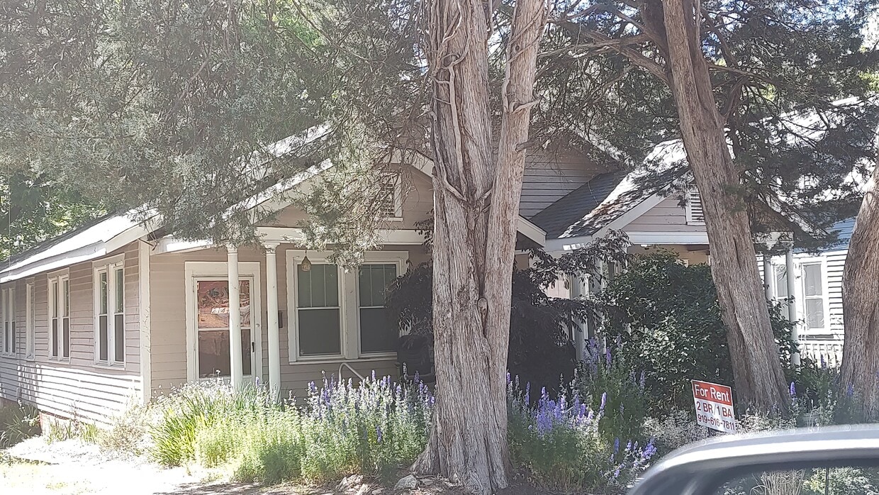 Primary Photo - 214 Cox Ave