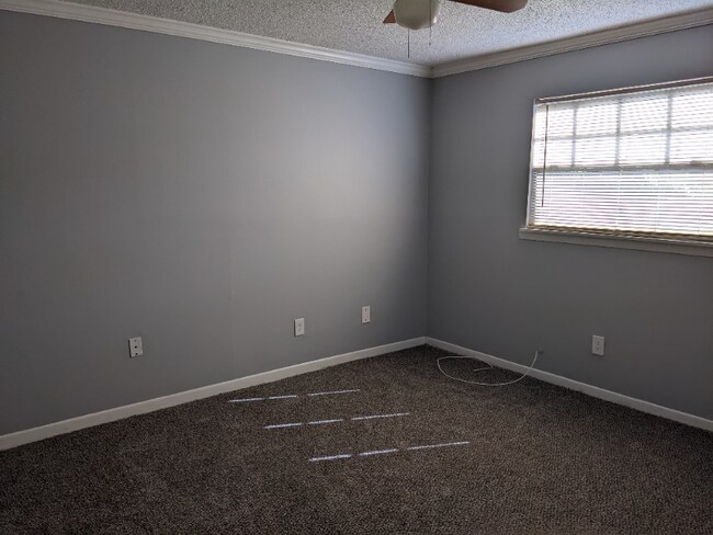 Building Photo - 3215 Baird Ave