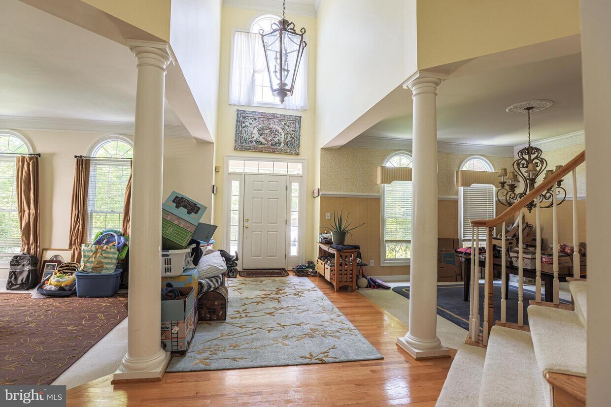Foto principal - 9912 Willow Tree Terrace