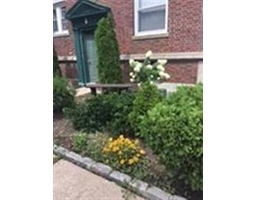 Primary Photo - 15 Ives St