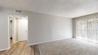 Located at 919 Ballard St in Altamonte Springs, Florida, this single-floor unit offers a clean, neutral aesthetic throughout. The living area features plush carpeting, soft gray walls, and a textured ceiling, with natural light filtering in through sliding glass doors that open to the exterior. Track lighting accents the transition area connecting the living space to the kitchen, which is finished with wood-look vinyl plank flooring, white cabinetry with brushed nickel hardware, stone-speckled countertops, and stainless steel appliances including a refrigerator and range. The bedroom is generously sized, also carpeted, and benefits from natural light through a window. A walk-in closet provides practical storage directly off the bedroom. The bathroom features a single vanity with a stone-top countertop, white cabinetry, dual medicine cabinet mirrors, and a full tub-shower combo with built-in shelving. Wood-look flooring continues into the bathroom, maintaining a consistent design language throughout the unit. The overall color palette — neutral grays, whites, and warm wood tones — creates a cohesive and functional living environment well-suited for everyday comfort.