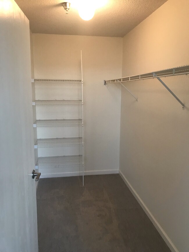 Walk'in Master Bedroom Closet - Riverfront Court