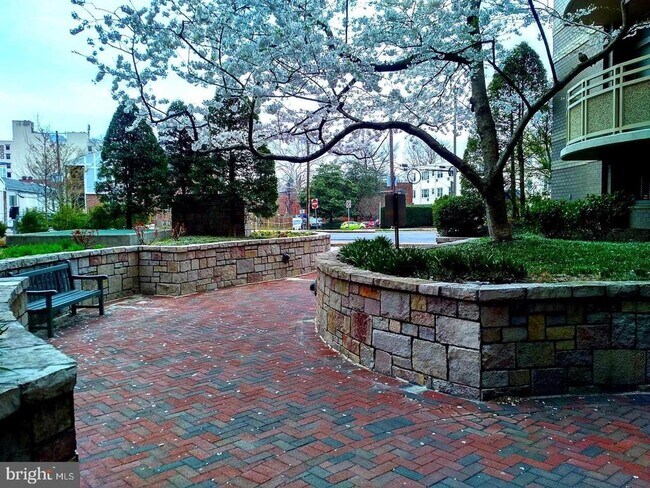 Foto del edificio - 7111 Woodmont Ave