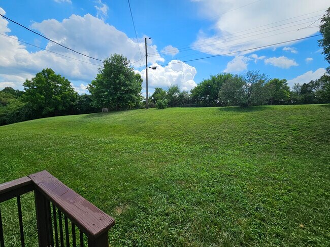 Large backyard view from patio/walk-off deck. - 265 N Ashbrook Cir