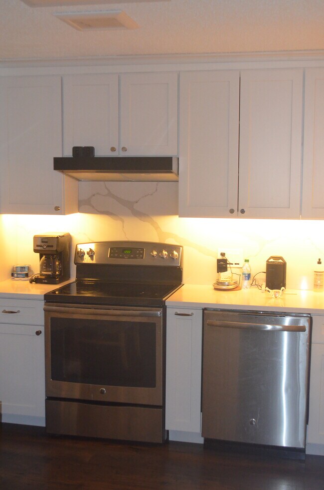 Kitchen Counter & Cabinets - 10 Northbrook Dr