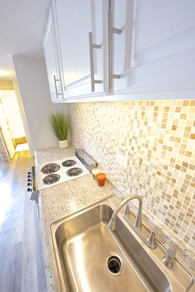 Backsplash - 824 Kinau St
