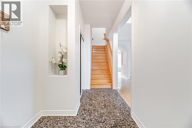 Building Photo - 2499 Scotch Pine Dr