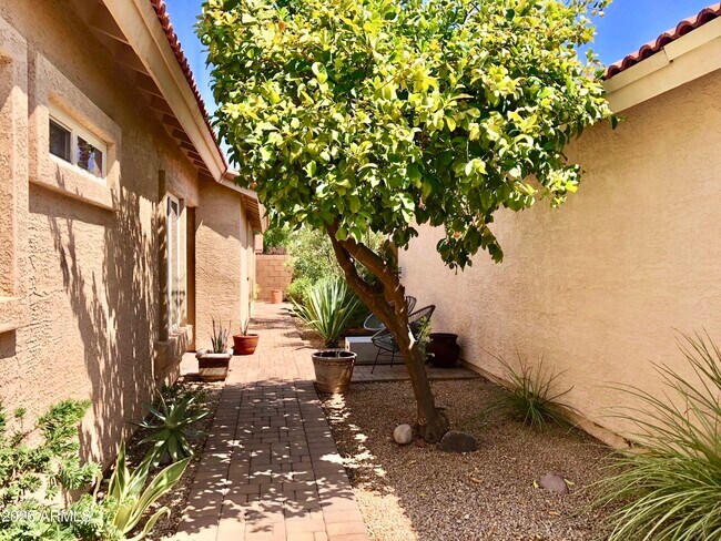Building Photo - 8828 E Riviera Dr
