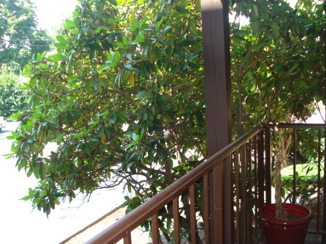 private deck - 7 E Lawrence Park Dr