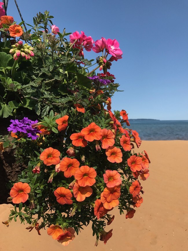 Lakeshore Resort TC - 1897 US-31
