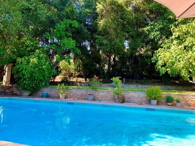 Pool and backyard - 2697 Tanoble Dr