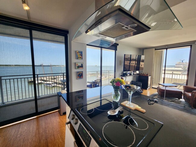 Building Photo - Luxurious 2br condo overlooking the Charle...