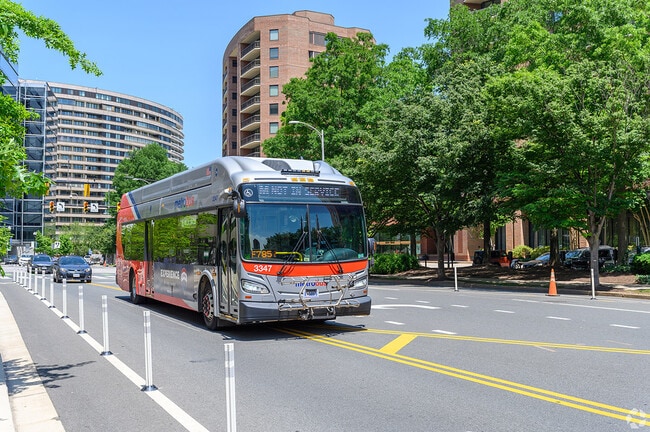 Buses provide a car-free way to get around.