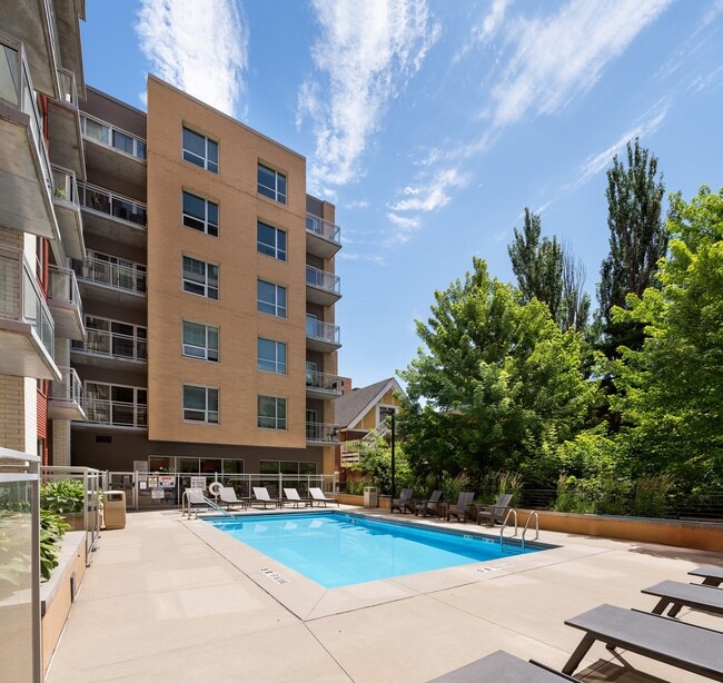 Domain Resort Style Pool - Domain