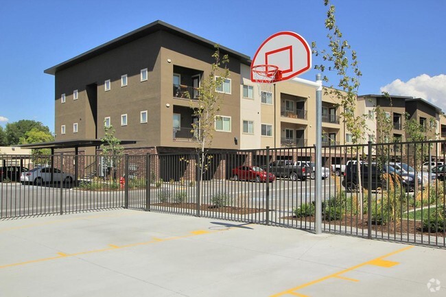 Basketball - 2550 South Main Apartments