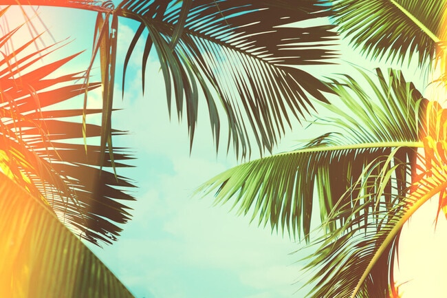 Foto del edificio - River Oak at Fernwood Forest