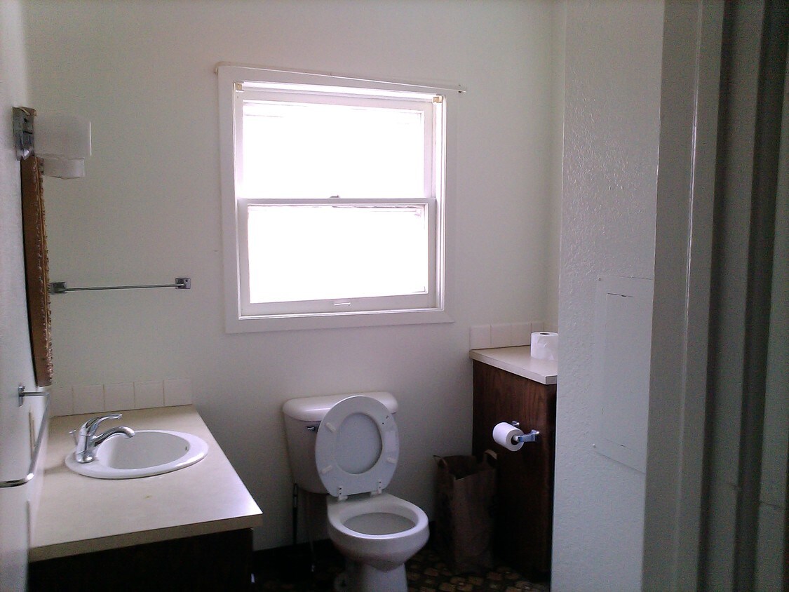 bathroom - 136 E Schlieman Ave