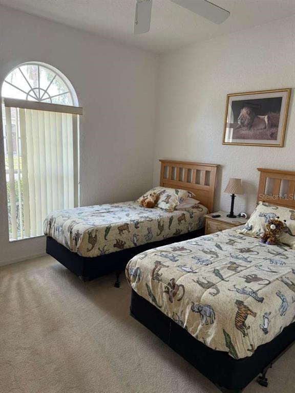 Foto del edificio - 543 Birkdale St