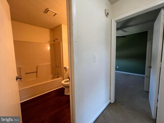 Foto del edificio - 24 Countryplace Ln