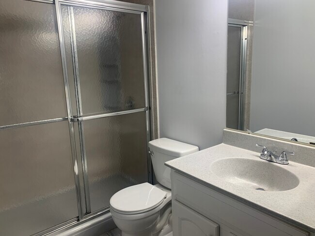Master bathroom w/ standing shower and new toilet - 505 Ravens Crest Dr