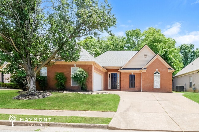 Building Photo - 8441 Shady Elm Dr