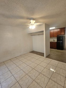 Foto del edificio - 1439 Kewalo St