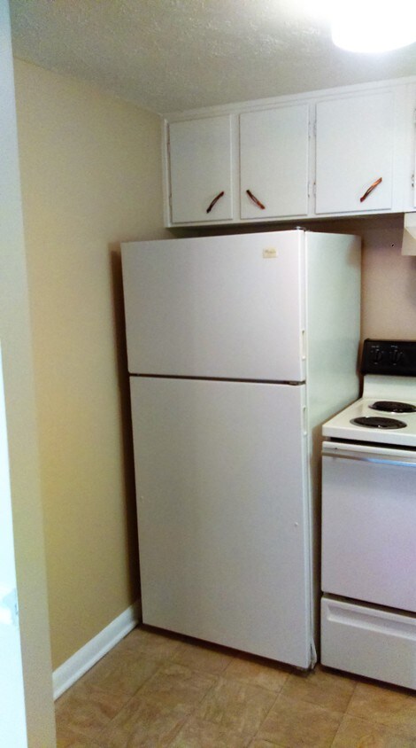 Primary Photo - 203 Evergreen Ct