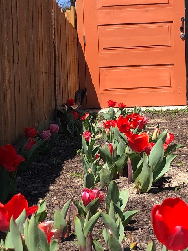 Photo - 4703 Chapman St House