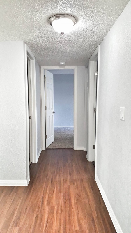 Photo - 9847 Seminole Blvd (Seminole, FL)