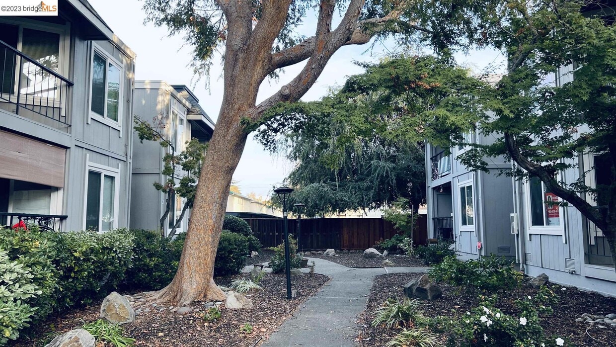 Primary Photo - 1530 Sunnyvale Ave