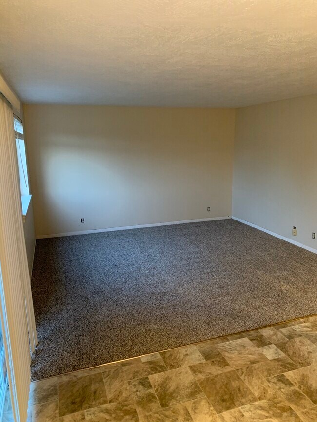 Living room - 115 E Rosewood Ave