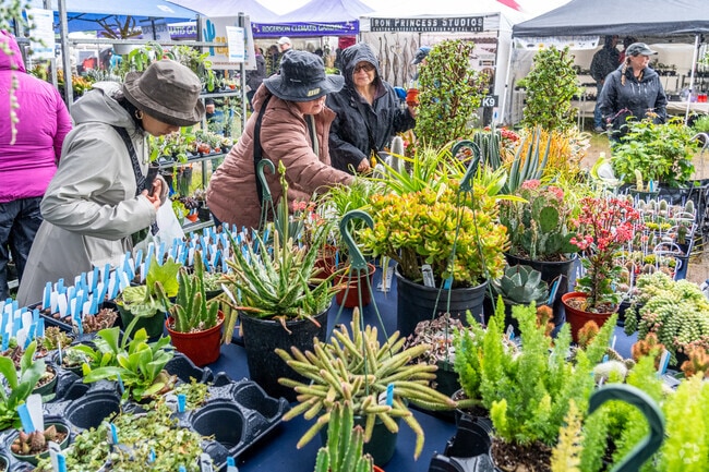 Visitors can find a wide variety of plants at the Spring Garden Fair in Canby.
