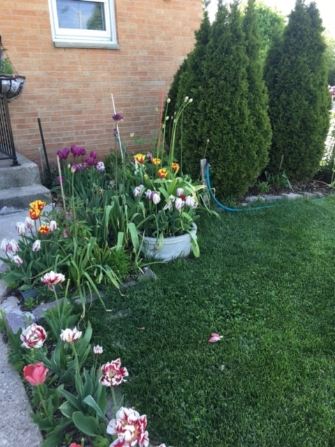 Garden - 6907 W Arthur Ave