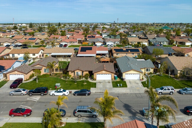 Palm trees line many streets in Mendota, adding to the city’s distinctive landscape.