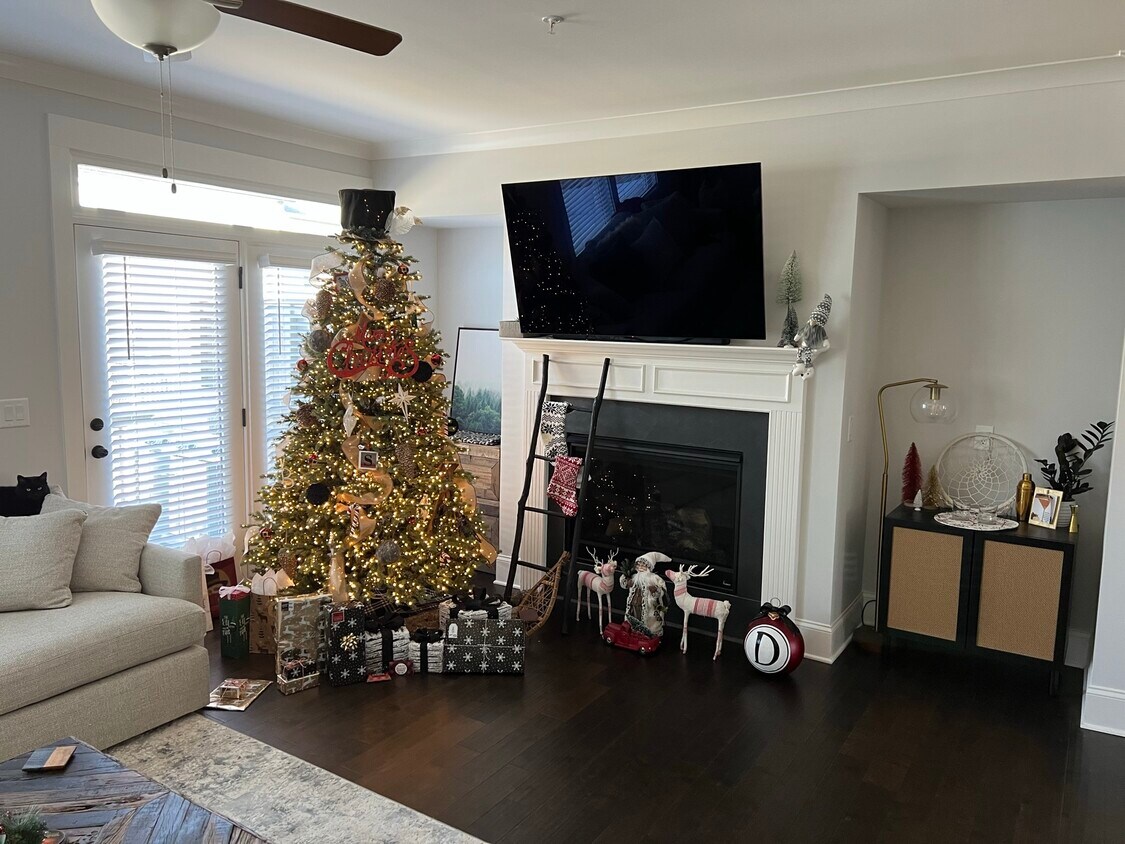 302 Meadow Mill Way, Woodstock, GA 30188 Townhome Rentals in